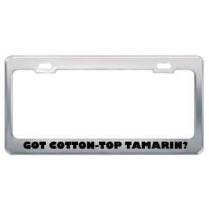 Got Cotton Top Tamarin? Animals Pets Metal License Plate Frame Holder 