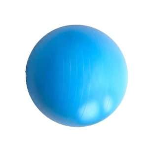   Professional Stability Ball (Anti Brust) With Pump