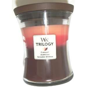   TRILOGY Fruit Temptation   Currant, Ambrosia and Sugared Berries Net