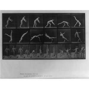   ocomotion,forward gymnastic flip,c1887,Muybridge