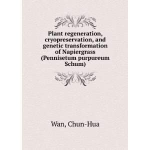   of Napiergrass (Pennisetum purpureum Schum) Chun Hua Wan Books