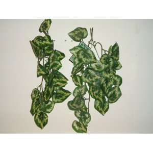  Green and White/red eye Center Vine Greenery (2 Pieces 