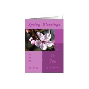 Seasons   Spring, Blossom Card