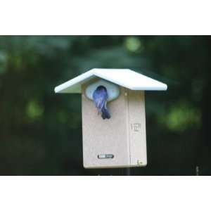  Recycled Ultimate Bluebird House w/Camera Patio, Lawn 