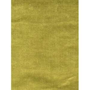  Scalamandre Pisanello   Green Bamboo Fabric