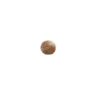    Indian Earth 2 Applicator Puff    OFFER Beauty