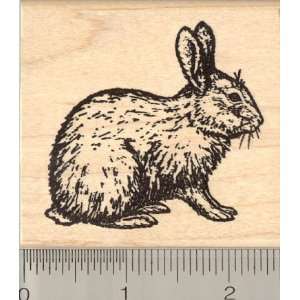  Eastern Cottontail Rabbit Rubber Stamp Arts, Crafts 