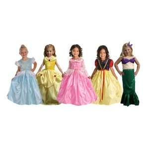 Disney Inspired Princess Dress Up Costume SetPerfect for Princess 
