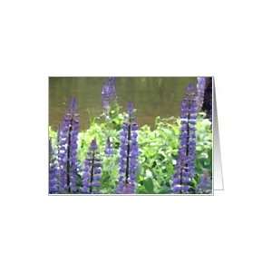  Purple Flower Spikes Note Card Card Health & Personal 