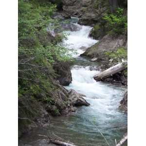  Print of Panther Creek in the Washington Cascades