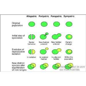  Speciation Mechanisms   24x36 Poster 