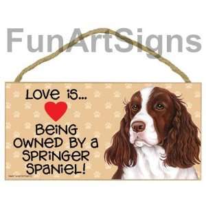  Springer Spaniel   Love Is Being Owned By A Springer Spaniel 