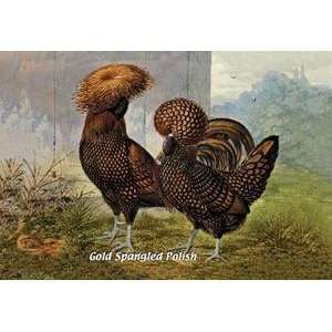   Vintage Art Gold Spangled Polish (Chickens)   05650 9