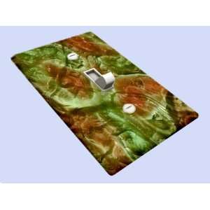  Dinosaur Skin Print Decorative Switchplate Cover