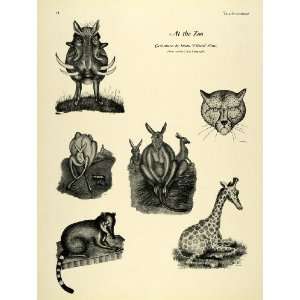  1932 Print Zoo Animal Caricatures Susan Willard Flint 