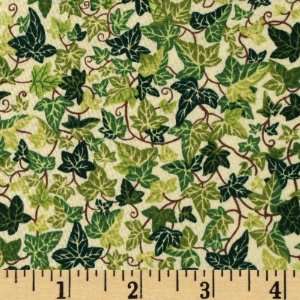  43 Wide Christmas Traditions Wintertime Ivy Cream/Green 