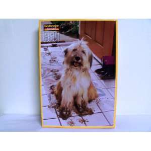  Kodacolor Shaggy Dog with Muddy Feet 550 Piece Puzzle 