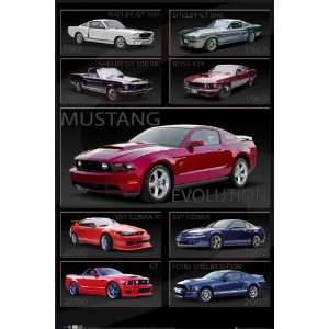  Car Posters Ford Shelby   Mustang Evolution   35.7x23.8 