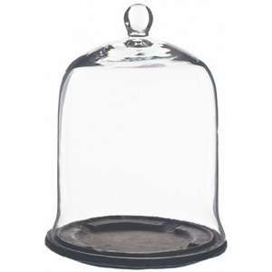  Modern Glass Upside Down Bell Jar Cloche Flared