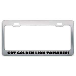 Got Golden Lion Tamarin? Animals Pets Metal License Plate Frame Holder 