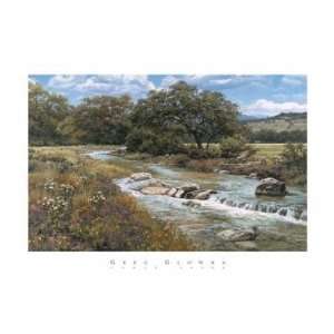  Comal Creek Poster Print