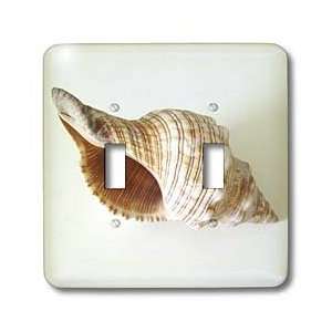  Florene Shells   Inside Conch Shell   Light Switch Covers 