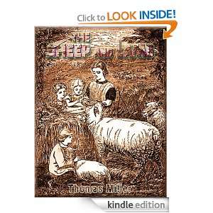 The Sheep and Lamb Thomas Miller   Kindle Store