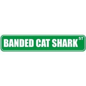   BANDED CAT SHARK ST  STREET SIGN