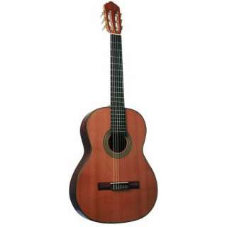  Giannini GWNC1 Sevilha Classical Guitar (Acoustic, Nylon)