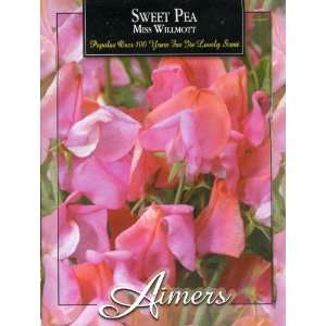  Aimers 3294 Sweet Pea Miss Willmott (Salmon Pink) Seed 