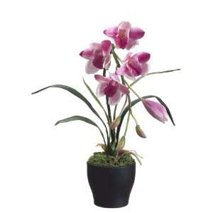  Pack of 6 Artificial Potted Magenta Cymbidium Orchid 