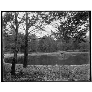 The Lake,Nay Aug Park,Scranton,Pa. 