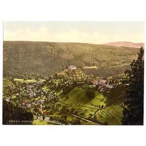 Photochrom Reprint of Schwarzburg, from Trippstein, Thuringia, Germany