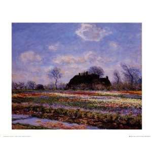  Tulip Fields at Sassenheim   Poster by Claude Monet (19 