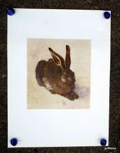 Penn Prints Vintage Print Durer Young Hare 14x19  