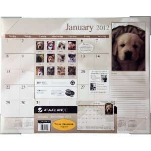   Organizer Recycled Puppies Desk Pad, 22 x 17 Inches, 2012 (DMD166 32