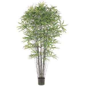  Pack of 2 Decorative Aralia Bamboo Trees with Round Pots 7 