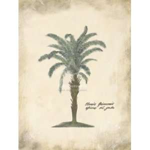  African Oil Palm by Annabel Hewitt 12x16