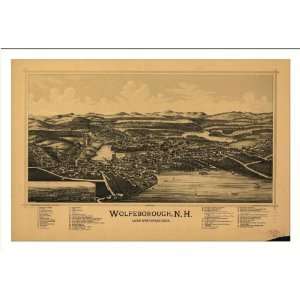   1889 (L) Panoramic Map Poster Print Reprint Giclee