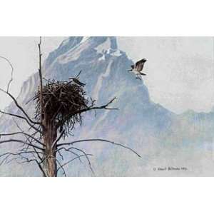 Robert Bateman   In the Mountains Osprey 