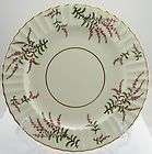 royal worcester dunrobin bone china england round dinner plate 10