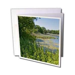  Boehm Photography Landscape   Chesapeake Bay Wetlands 