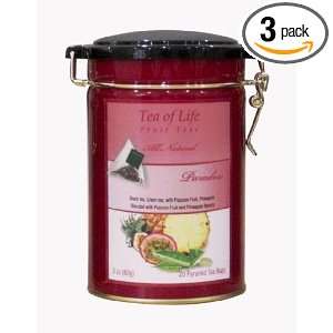 Tea of Life Fruit & Herbal Paradise, 20   Count Pyramid Tea Bags, 7.97 