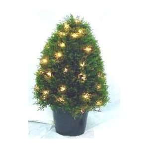   Upright Juniper Tree with 50 Clear Lights in Green Round Plastic Pot
