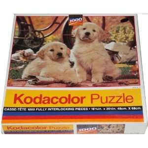   1000 Piece Puzzle   Jack & Jill Golden Retriever Puppies Toys & Games