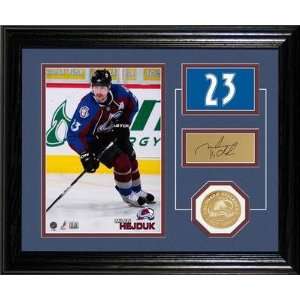  Milan Hejduk Colorado Avalanche Player Pride Desk Top 