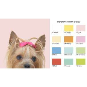  Yorkshire Terrier Peel & Stick Wall Accent