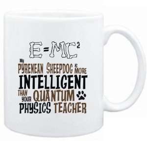   your Quantum Physics Teacher  Dogs 
