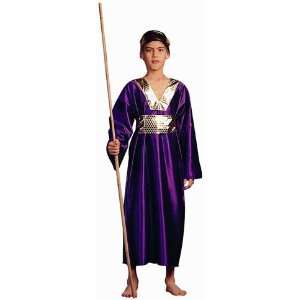  Kids Blue Wiseman Biblical Costume (Size Medium 8 10 