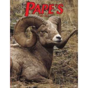  Papes Archery Catalog & P/L